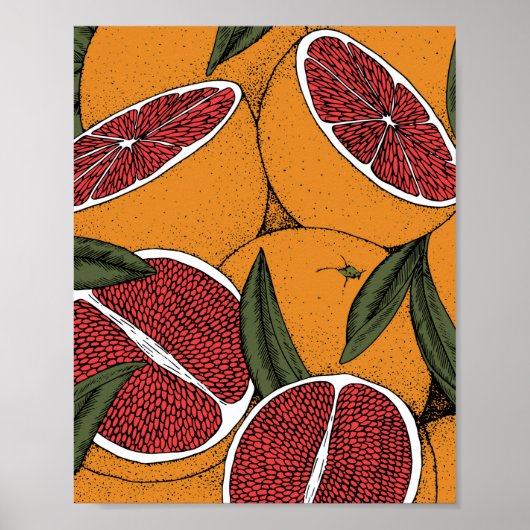 Handgetrokken druk met grapefruits poster (Voorkant)