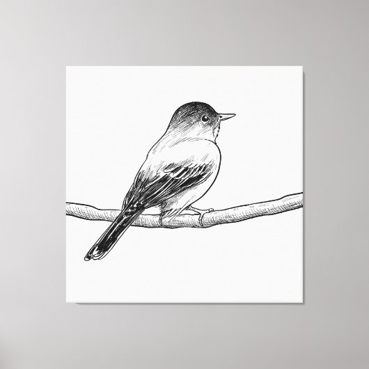 Handgetrokken vogelillustratie canvas afdruk (Voorkant)