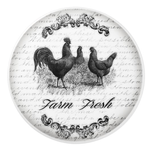 handgrepen voor de ontwerpdeur of -bak keramische knop (Voorkant)