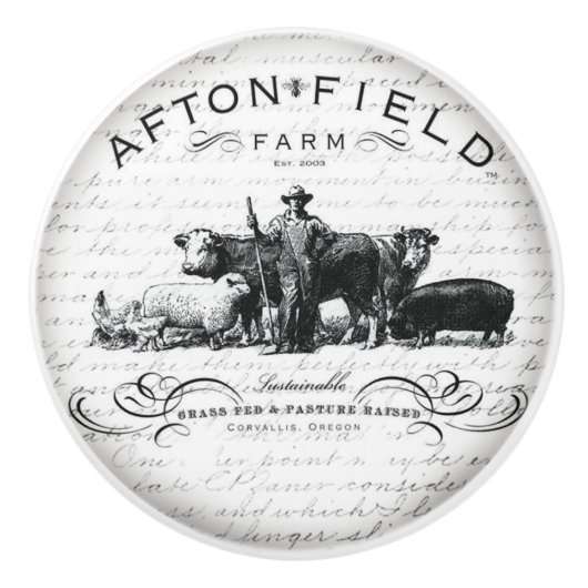  handgrepen voor de ontwerpdeur of -bak keramische knop (Voorkant)