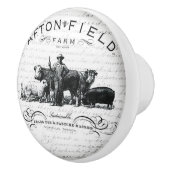  handgrepen voor de ontwerpdeur of -bak keramische knop (Rechts)