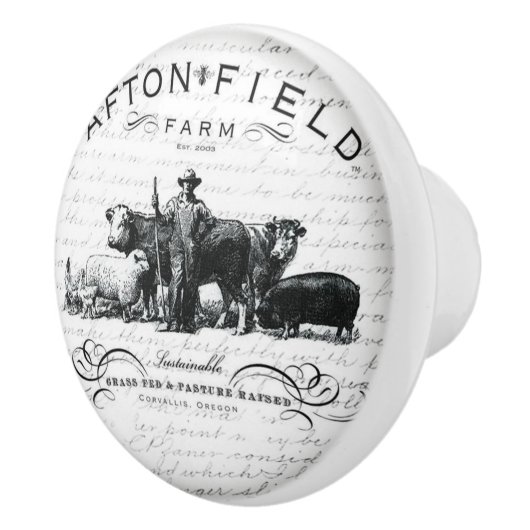  handgrepen voor de ontwerpdeur of -bak keramische knop (Rechts)