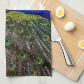 Handhanddoek voor proud Peacock Theedoek (Quarter Fold)