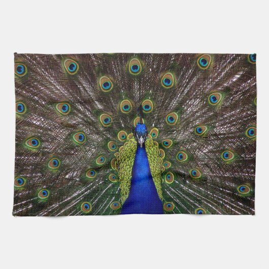 Handhanddoek voor proud Peacock Theedoek (Horizontaal)