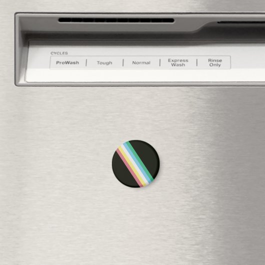 Handicap Pride Flag Magnet (Insitu (Vaatwasser))