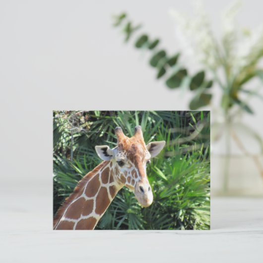 Handig Giraffe Briefkaart (Staand voorkant)
