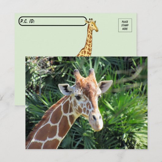 Handig Giraffe Briefkaart (Voorkant / Achterkant)