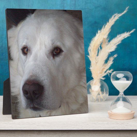 Handige Grote Pyreneeën Dog Fotoplaat (Zijkant)