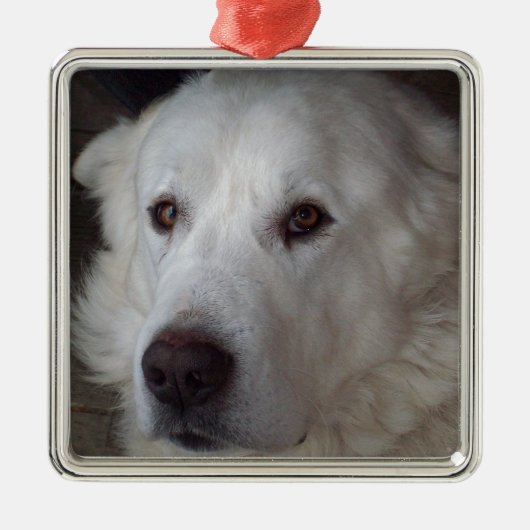 Handige Grote Pyreneeën Dog Metalen Ornament (Voorkant)