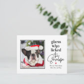 Handige huisdier BEWERKBARE KLEUR Vakantie Kerstmi Feestdagenkaart (Staand voorkant)