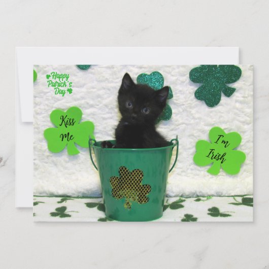 Handige Jack - Cat / Kitten St. Patrick's Day (Voorkant)