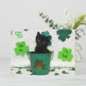 Handige Jack - Cat / Kitten St. Patrick's Day (Staand voorkant)