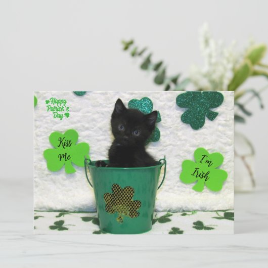 Handige Jack - Cat / Kitten St. Patrick's Day (Staand voorkant)