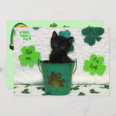 Handige Jack - Cat / Kitten St. Patrick's Day (Voorkant / Achterkant)