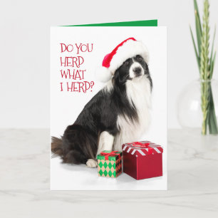 Handige randcollie en kerstcadeaus feestdagen kaart