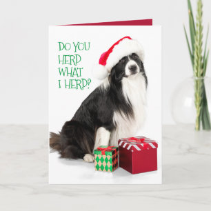 Handige randcollie en kerstcadeaus feestdagen kaart