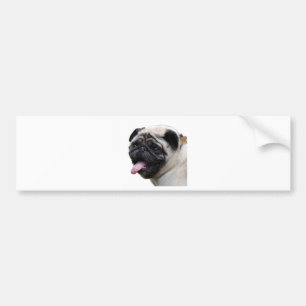Handige witte Pug-fotoaccessoires, namen toevoegen Bumpersticker