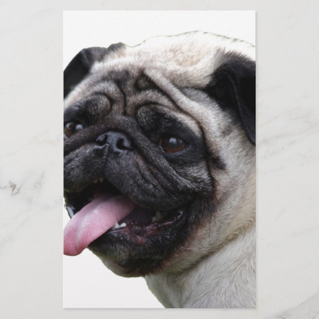 Handige witte Pug-fototaccessoires, namen toevoege (Voorkant)