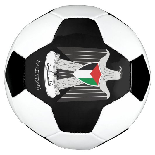 handjas van palestine voetbal (Gedraaid)