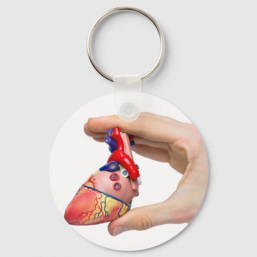Handje houdt model menselijk hart vast tussen ving sleutelhanger (Voorkant)