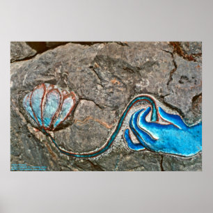 Handje met Lotus/Poster Poster