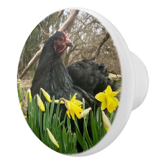 handkast voor zwarte cochin - klep trekt yeti rech keramische knop (Rechts)