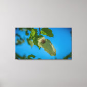 Handleiding Canvas Afdruk (Voorkant)