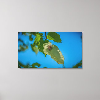 Handleiding Canvas Afdruk