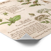 Handleiding Planten branden Afdrukken handleiding Poster (Hoek)