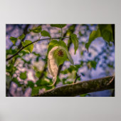 Handleiding Poster (Voorkant)