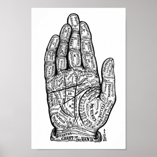 Handlijnkunde Poster (Voorkant)