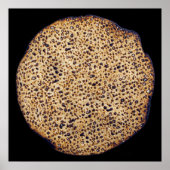 Handmade Shmura Matzah Poster (Voorkant)