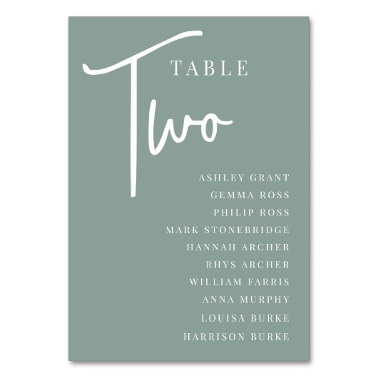 Handmatige scripttabel TWO + gastnamen Kaart (Achterkant)