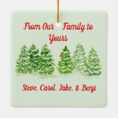 Handpainted Snowy Winter Trees PHOTO  Keramisch Ornament (Achterkant)