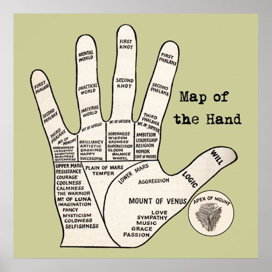  handpalmleespalmistry Hand Map Poster (Voorkant)