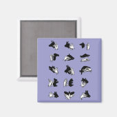  handpalmspelen voor de schaduw van de hand magneet (Voorkant / Achterkant)