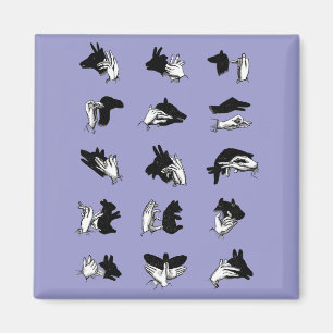 handpalmspelen voor de schaduw van de hand magneet