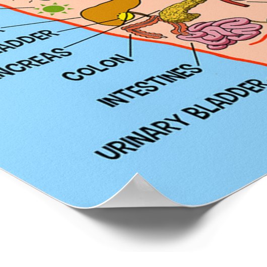 Handreflexologie 13x12 inch poster (Hoek)