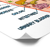 Handreflexologie 13x12 inch poster (Hoek)