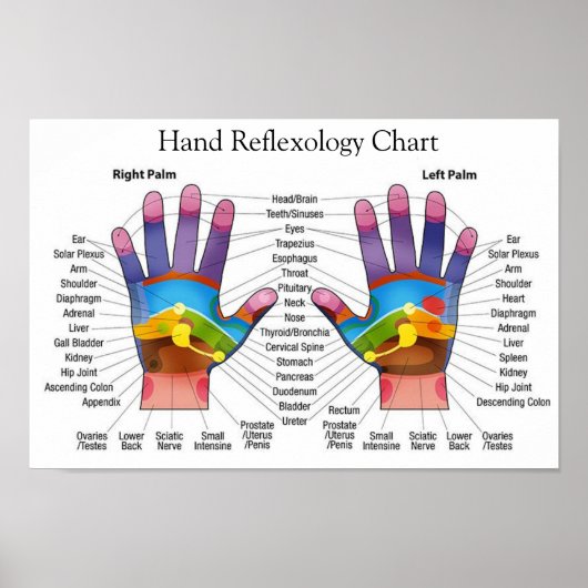 Handreflexologie 14x10 inch poster (Voorkant)