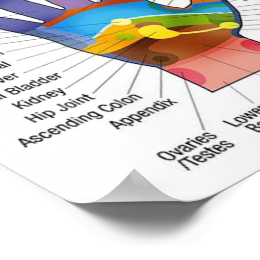 Handreflexologie 14x10 inch poster (Hoek)