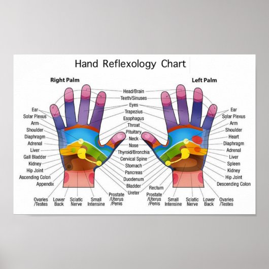 Handreflexologie 14x10 inch poster (Voorkant)