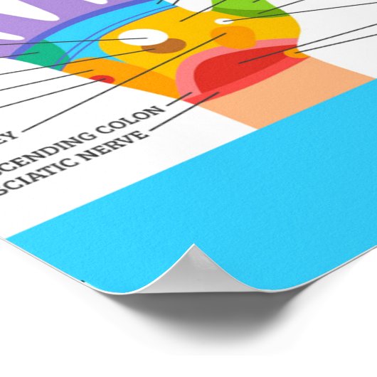 Handreflexologie 14x11 inch poster (Hoek)