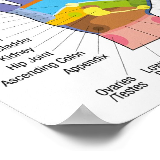 Handreflexologie 16 x 11 inch poster (Hoek)