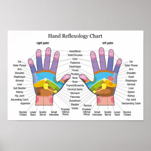 Handreflexologie 16 x 11 inch poster (Voorkant)