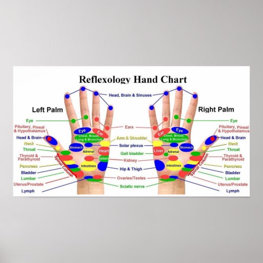 Handreflexologie 22x12 inch poster (Voorkant)