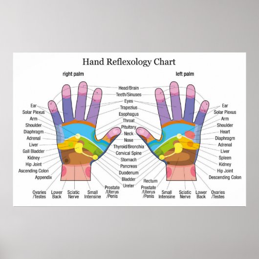 Handreflexologie 36 x 24 inch poster (Voorkant)