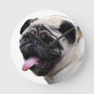 Handsom witte accessoires van de Pug foto's, voeg  Ronde Klok