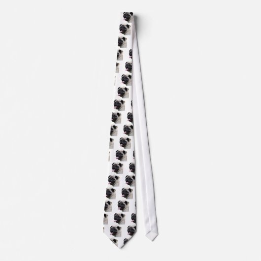 Handsom witte accessoires van de Pug foto's, voeg Stropdas (Voorkant)