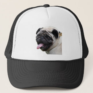Handsom witte accessoires van de Pug foto's, voeg  Trucker Pet
